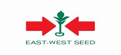 East West Seed
